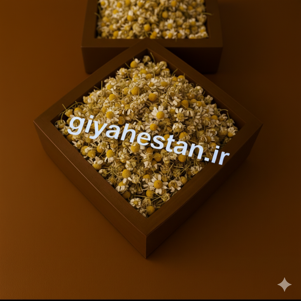 بابونه گل ریز یک کیلویی