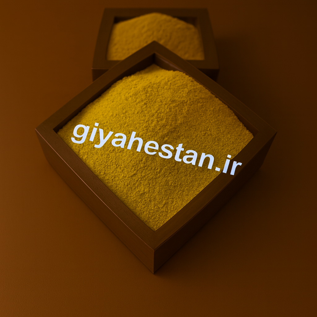 ادویه همبرگر یک کیلویی