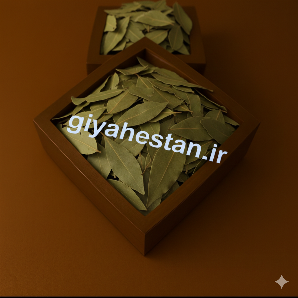 برگ بو یک کیلویی