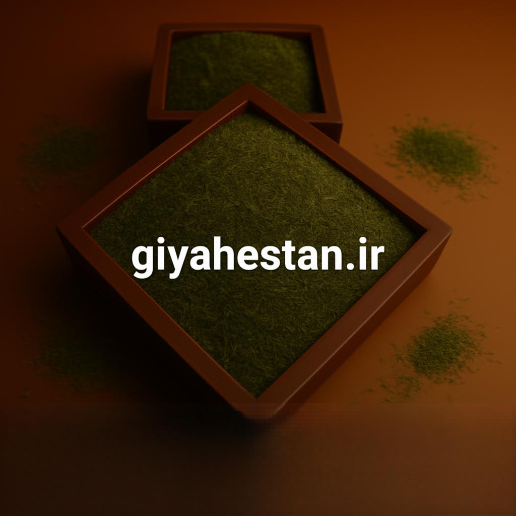 شوید نرم ۲۵ کیلویی