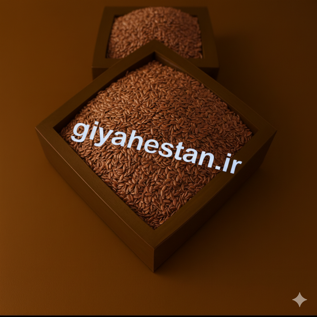 کتان بزرک ۵ کیلویی