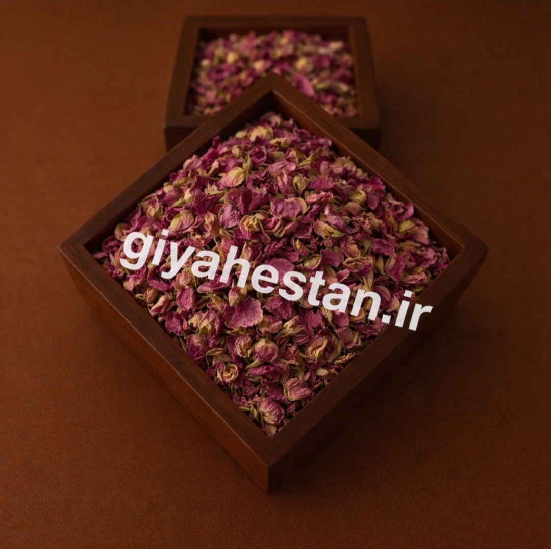 پر گل محمدی یک کیلویی