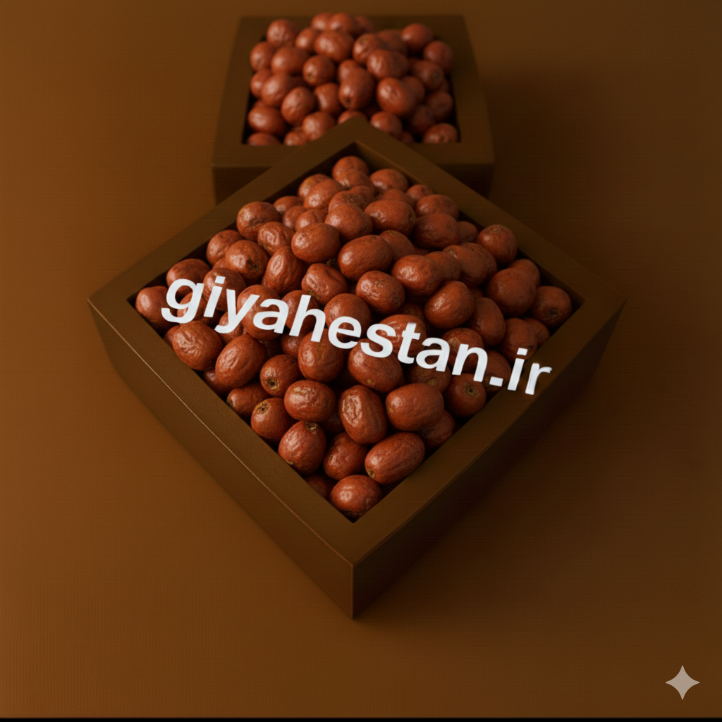 سنجد اعلا تازه شاهرود 15 کیلویی