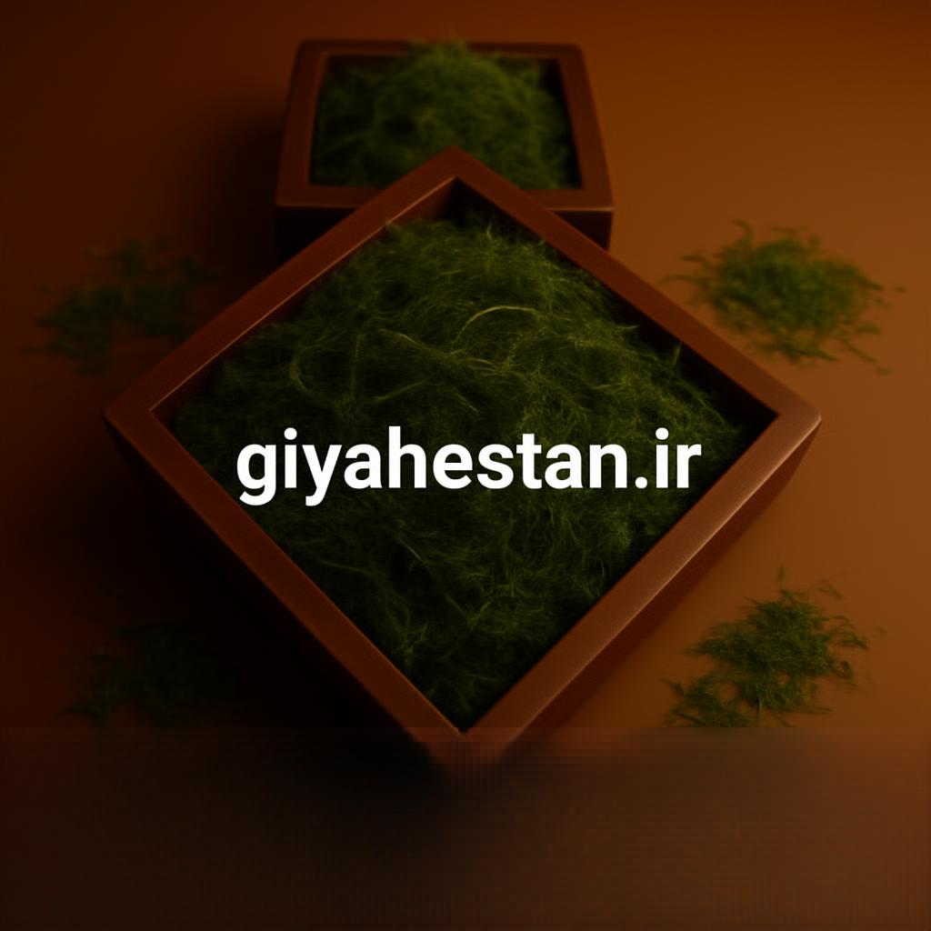 شوید پفکی سرگل کارتنی ۲۵ کیلویی